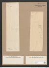 Rhoicosigma robustum Grun. (de-Toni-Nr.: Genus 15, Species 1129) Zeichnungen Sammlung Grunow Nr. 2224 (NHMW-BOT-W0369311)